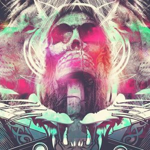 Meet your Posher, Donald